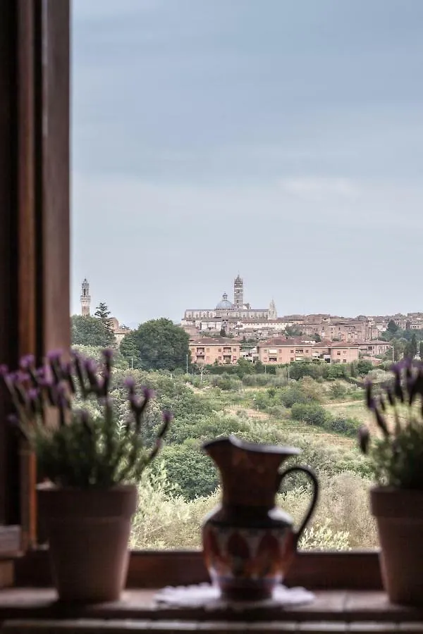 Le Case Del Conventino Di Marciano Siena