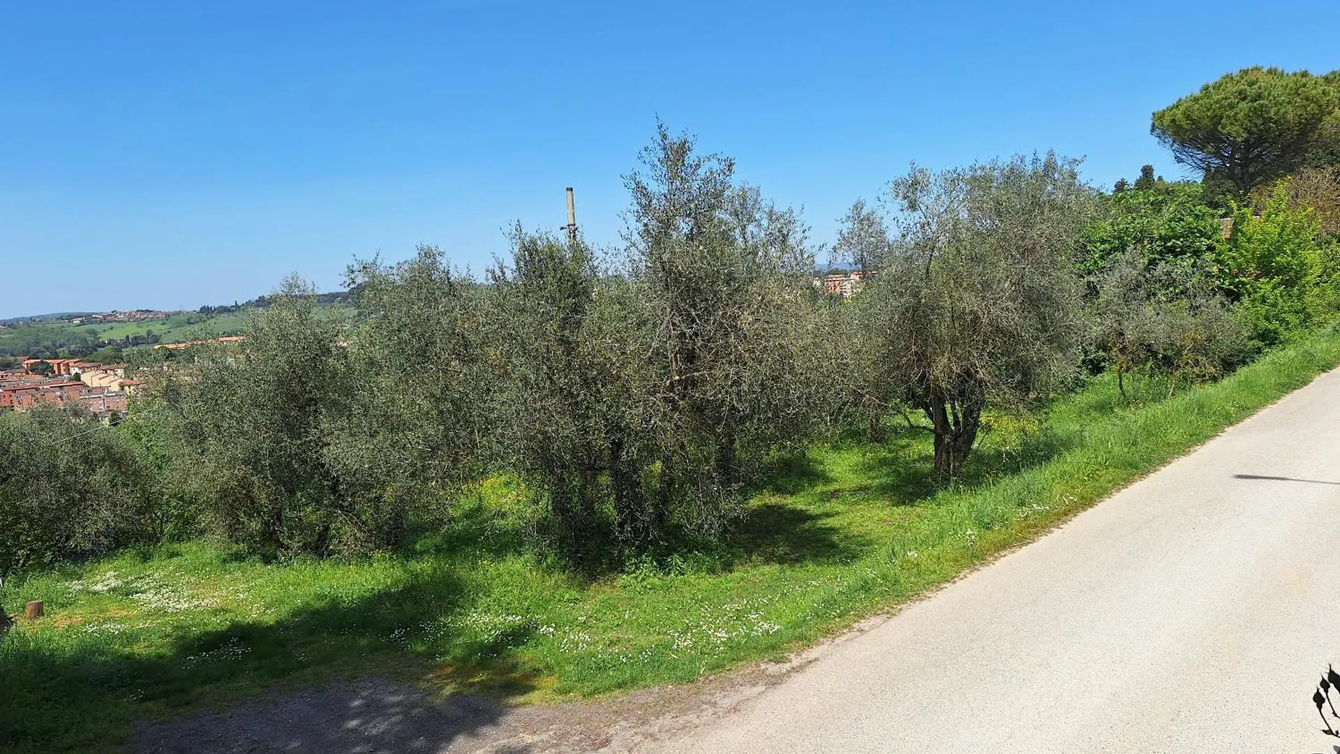 Le Case Del Conventino Di Marciano Siena Holiday home
